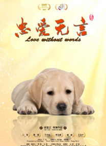 免费的视频bgm大全